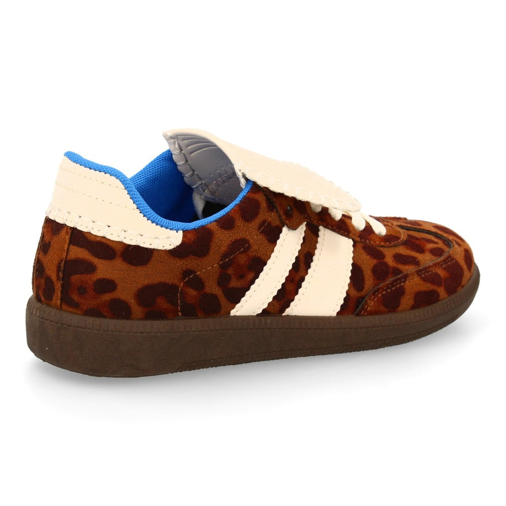 B6609-Lleopard
