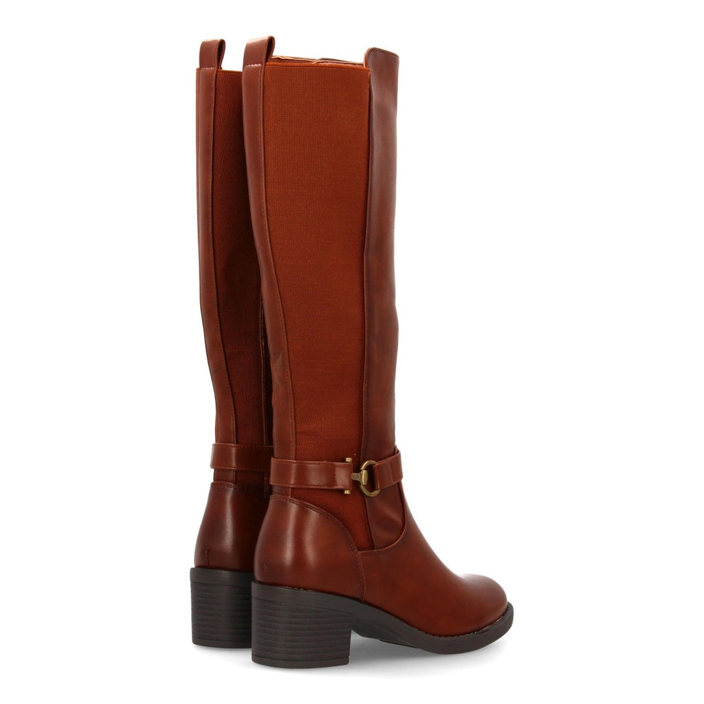2561-Camell