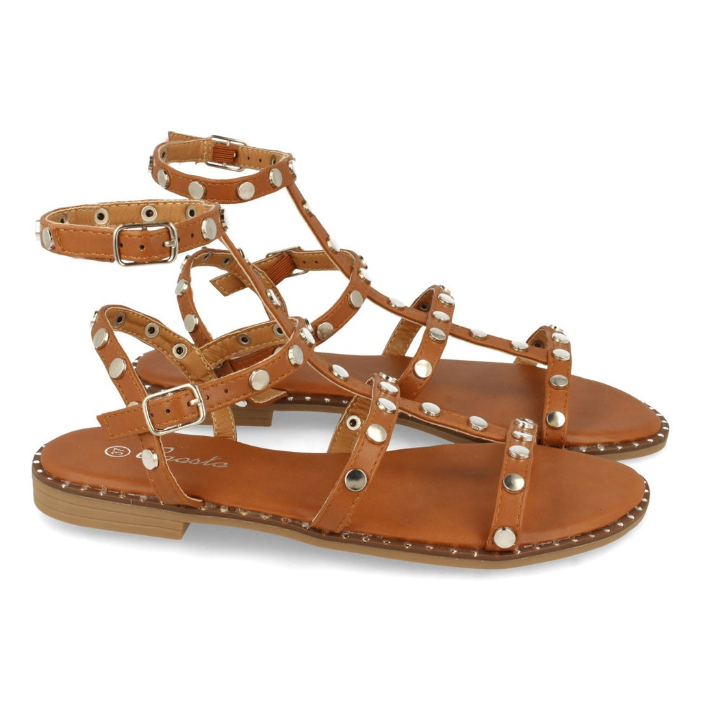 Vimice TF2255-Camel