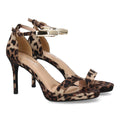 BD537-Lleopard