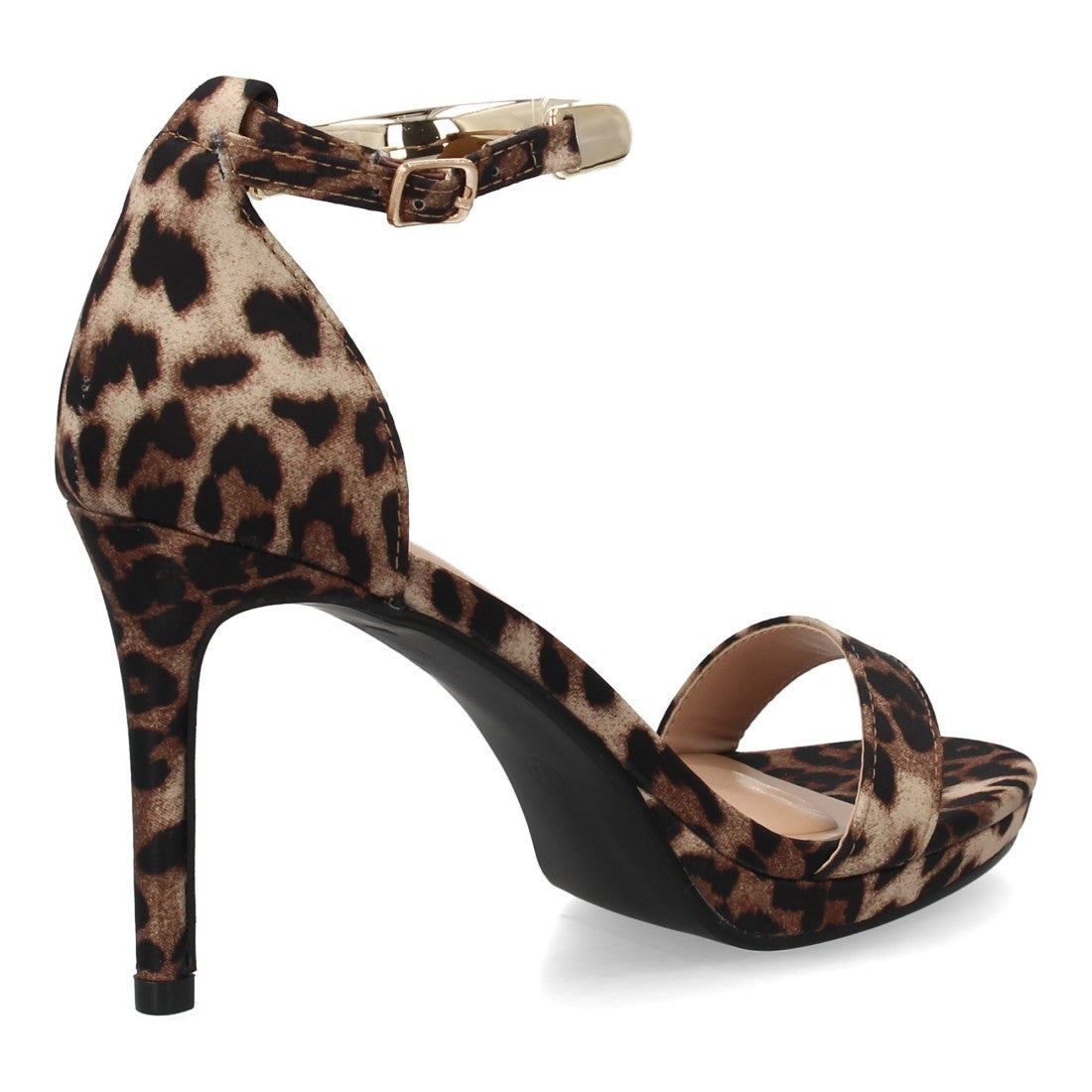 BD537-Lleopard