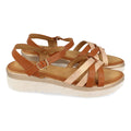 Vimice TF2202-Camel