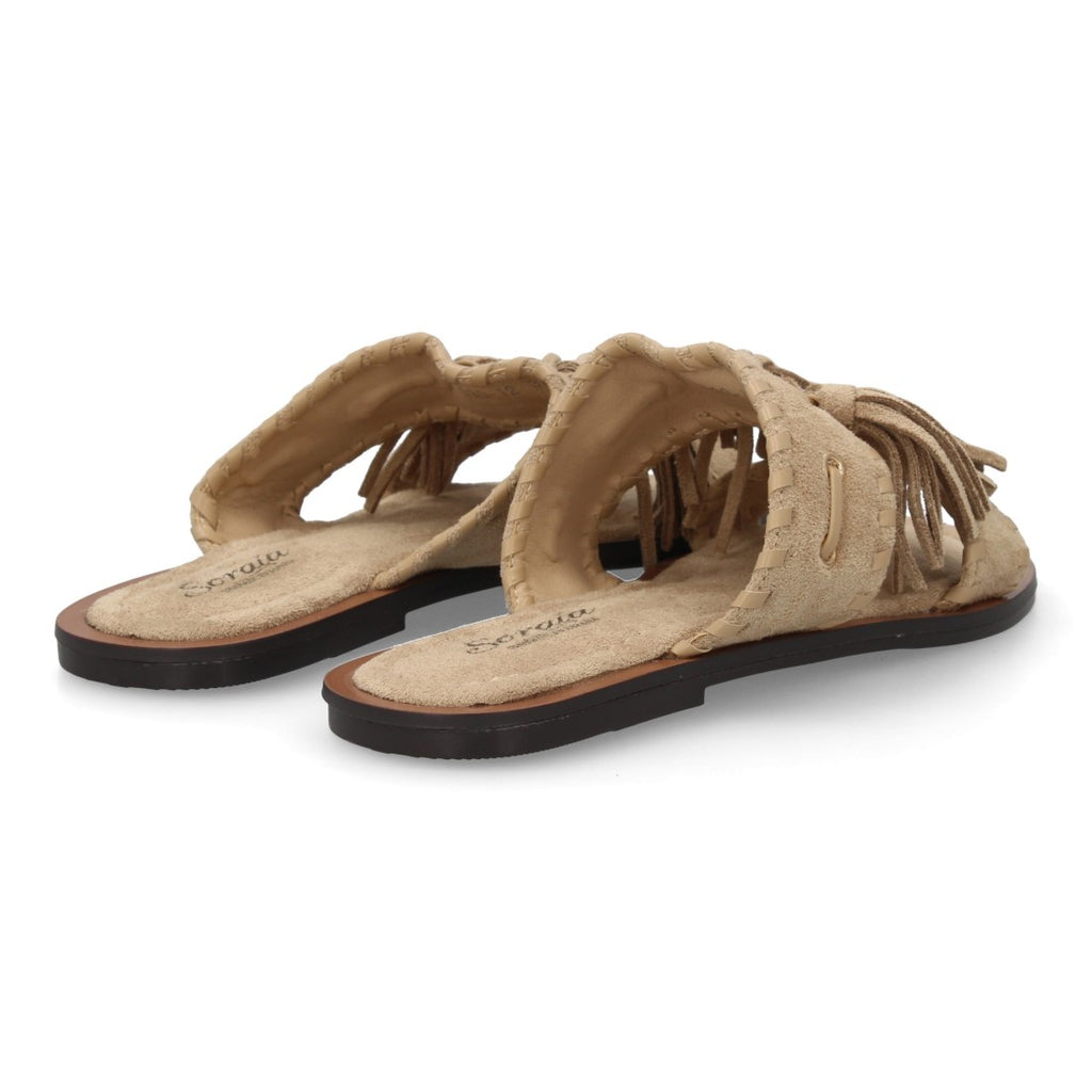 LL-2A030-Caqui