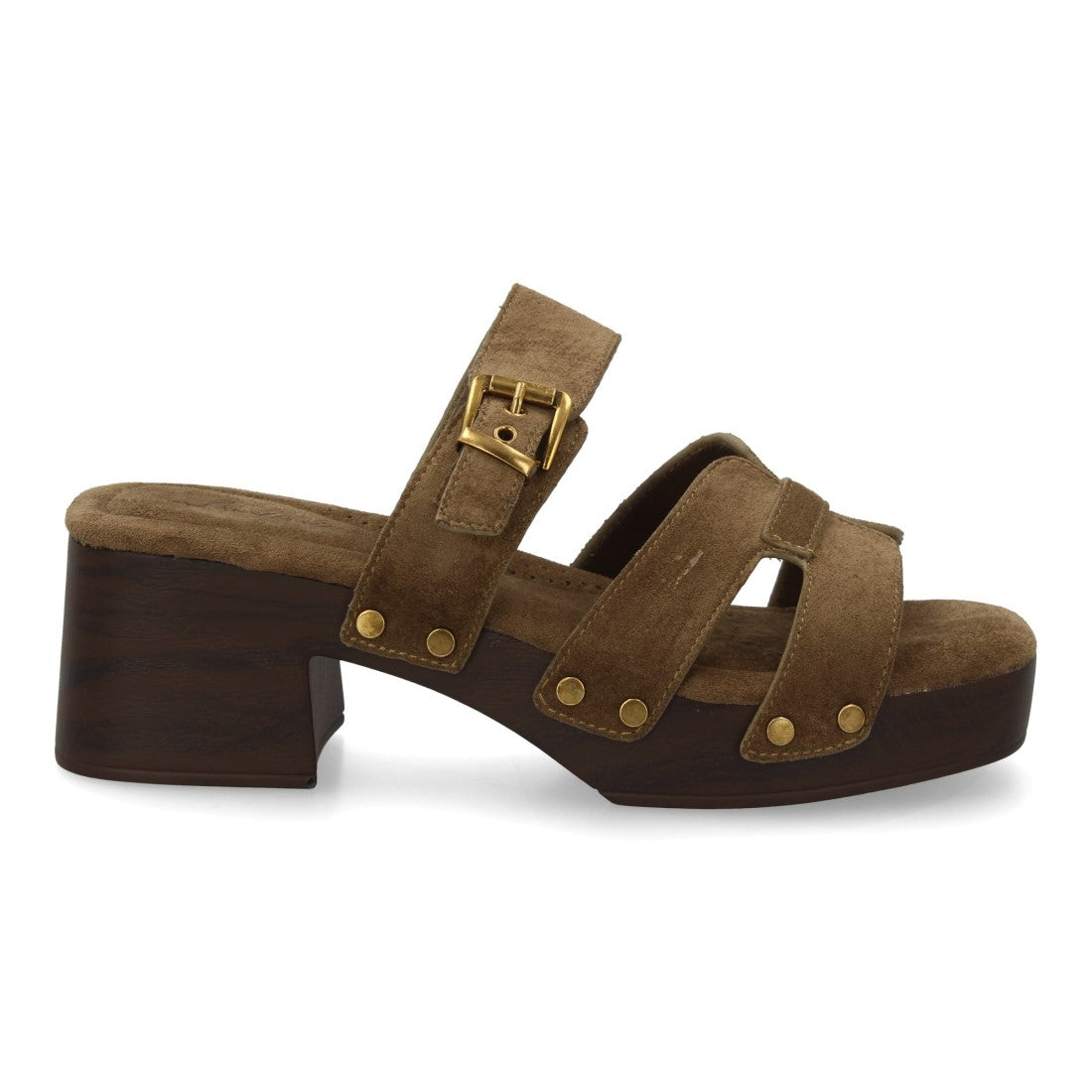 F280-31-Verd