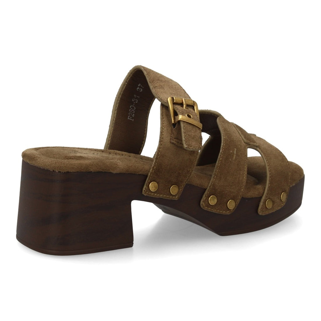 F280-31-Verd