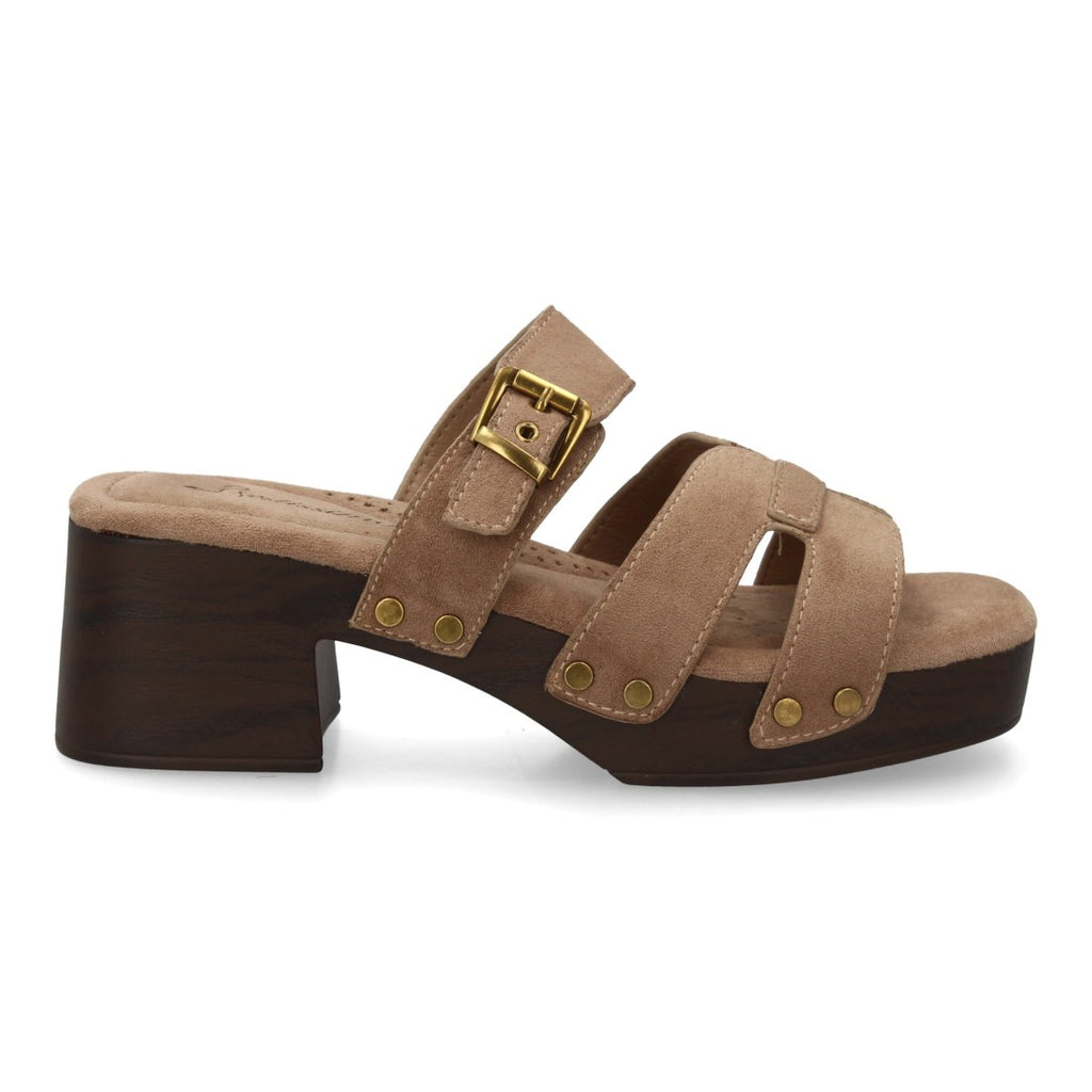 F280-31-Caqui