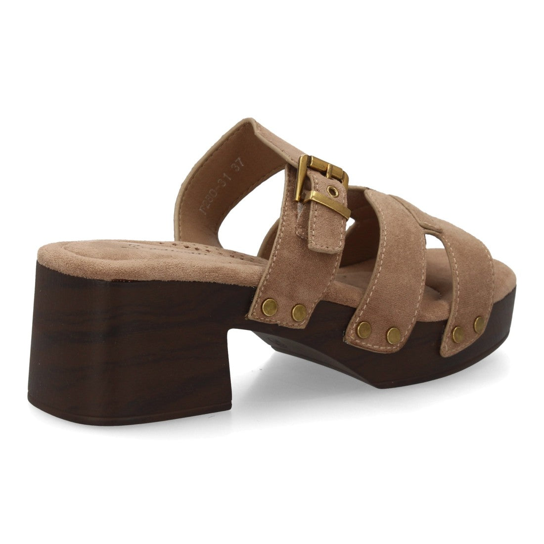 F280-31-Caqui