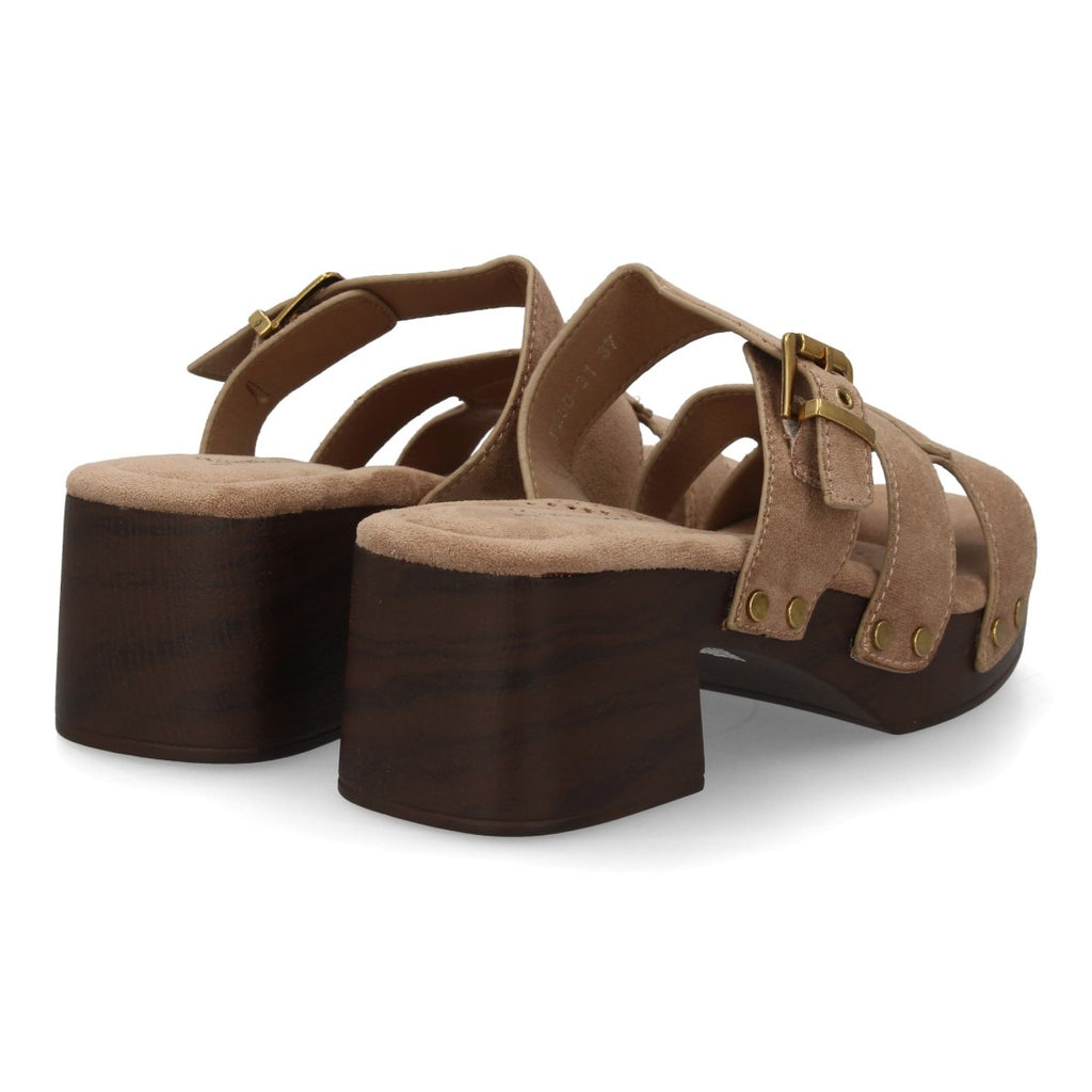 F280-31-Caqui