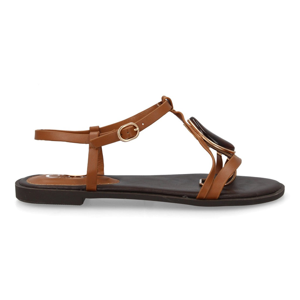 BS-27-Camell