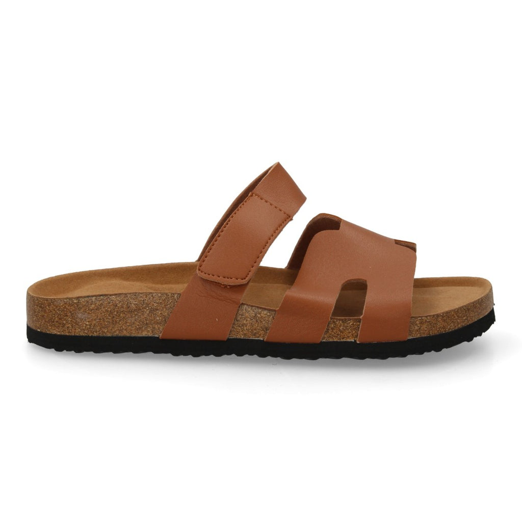 M291-Talp