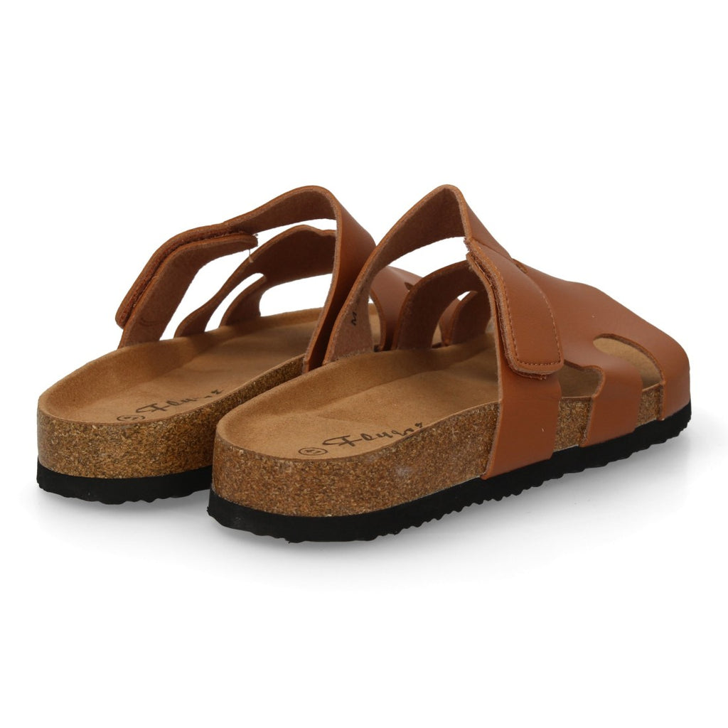 M291-Talp