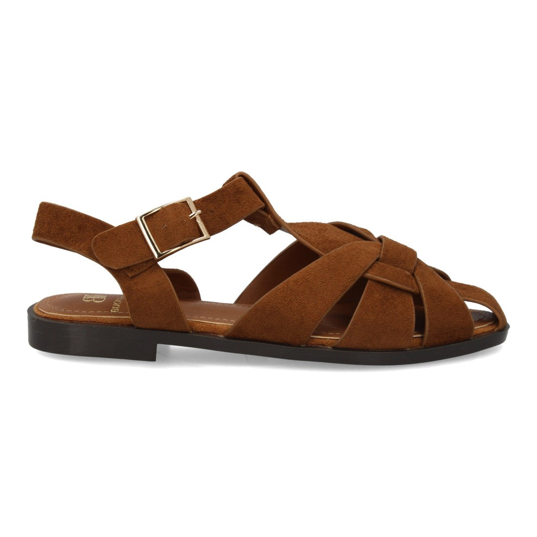 X-5731-Camell