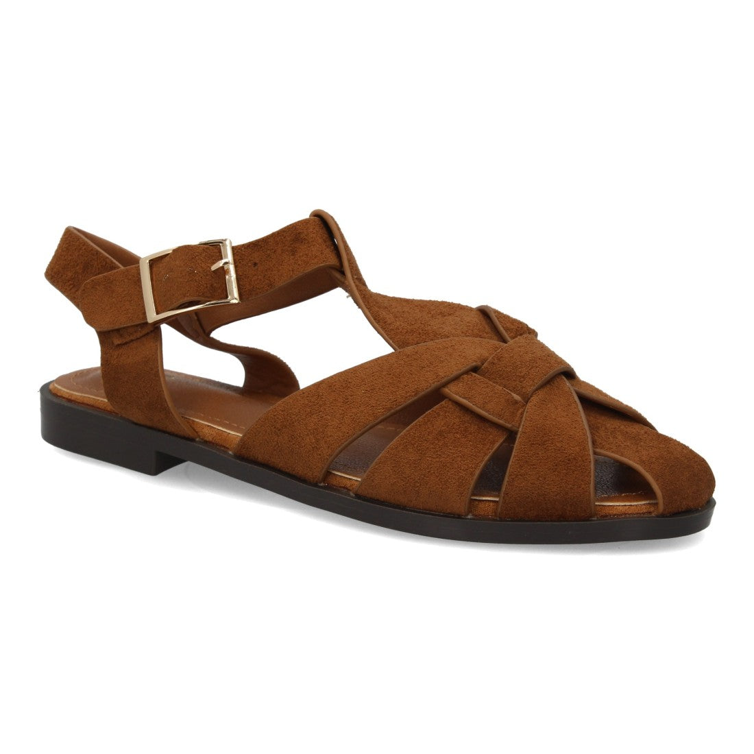 X-5731-Camell