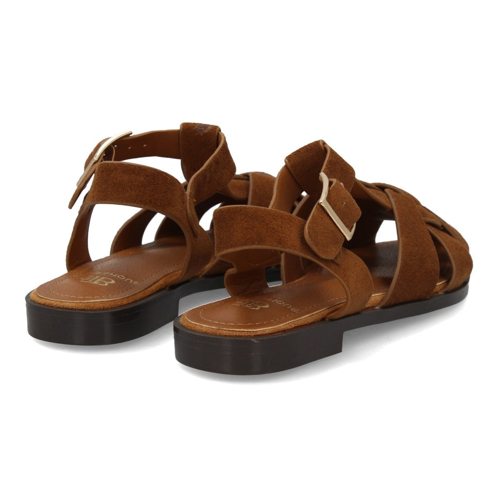 X-5731-Camell