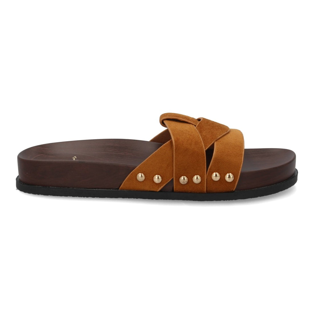 OH-578-Camell