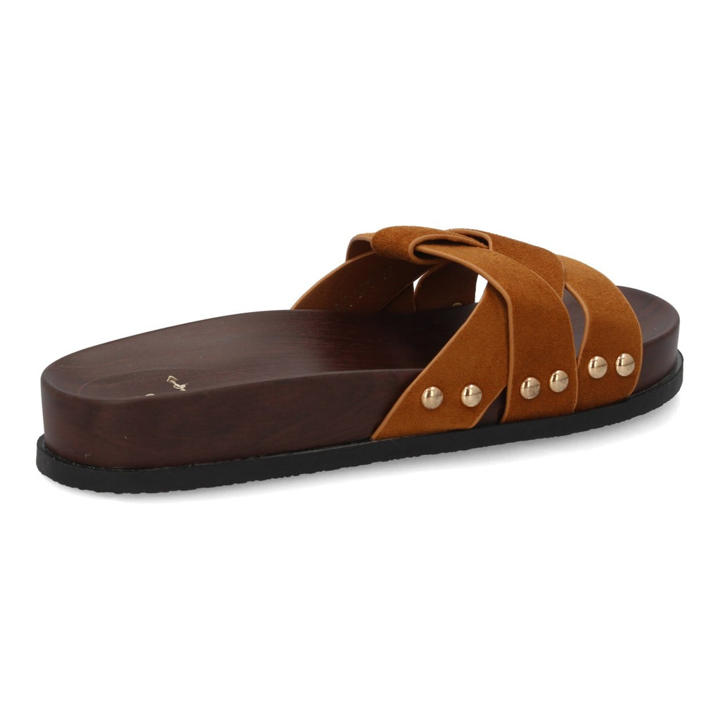 OH-578-Camell