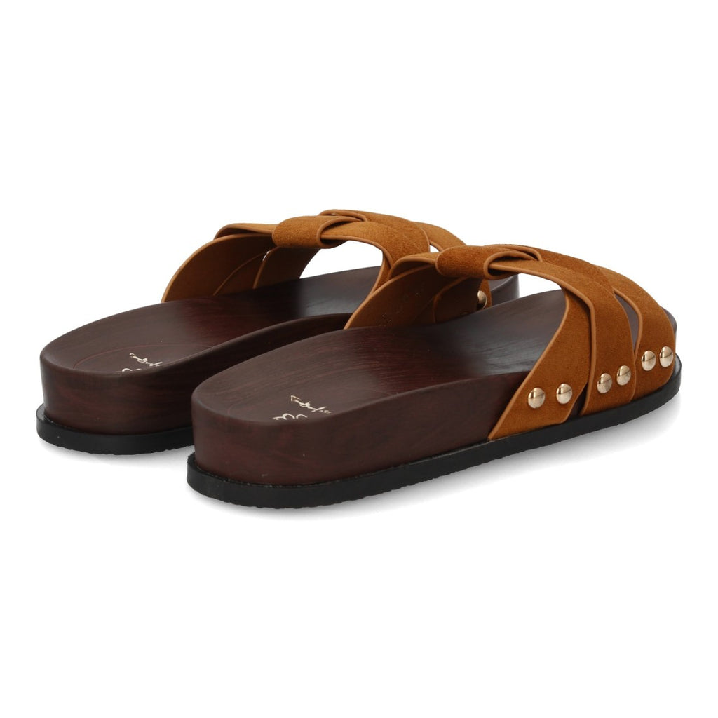 OH-578-Camell