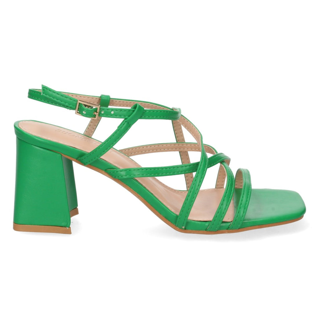 Vimice 1BL-1681-Verde