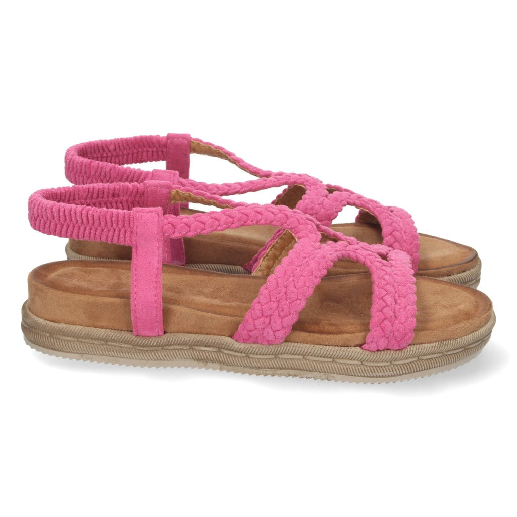 Vimice 1AF-1207-Fucsia