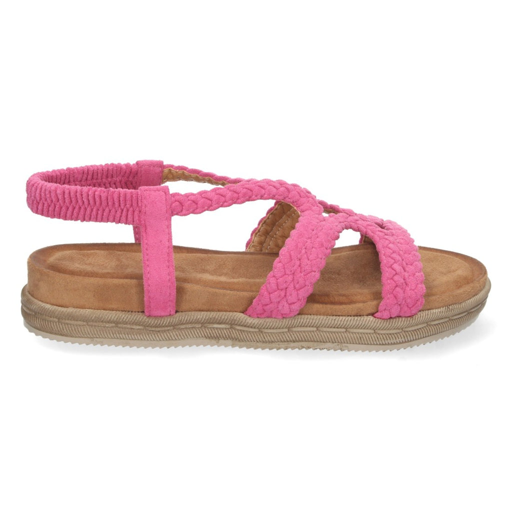 Vimice 1AF-1207-Fucsia