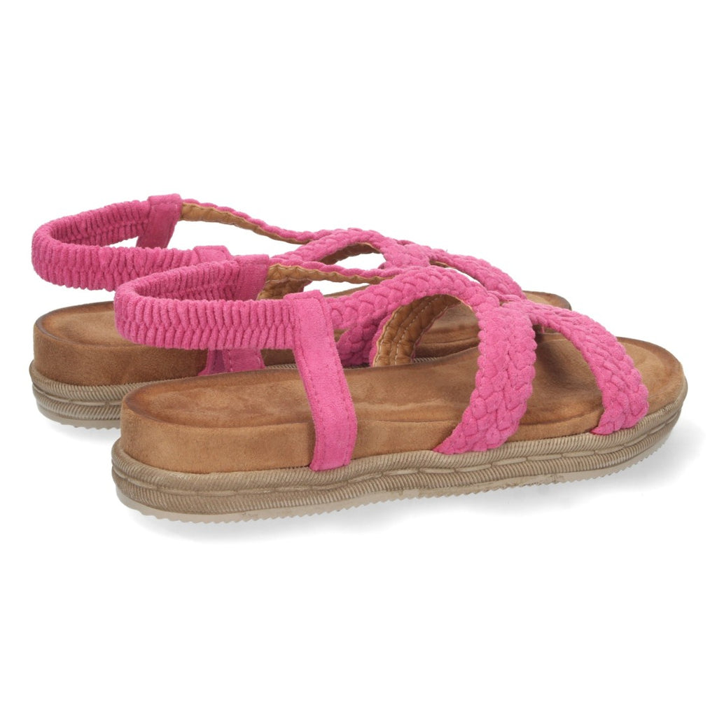 Vimice 1AF-1207-Fucsia