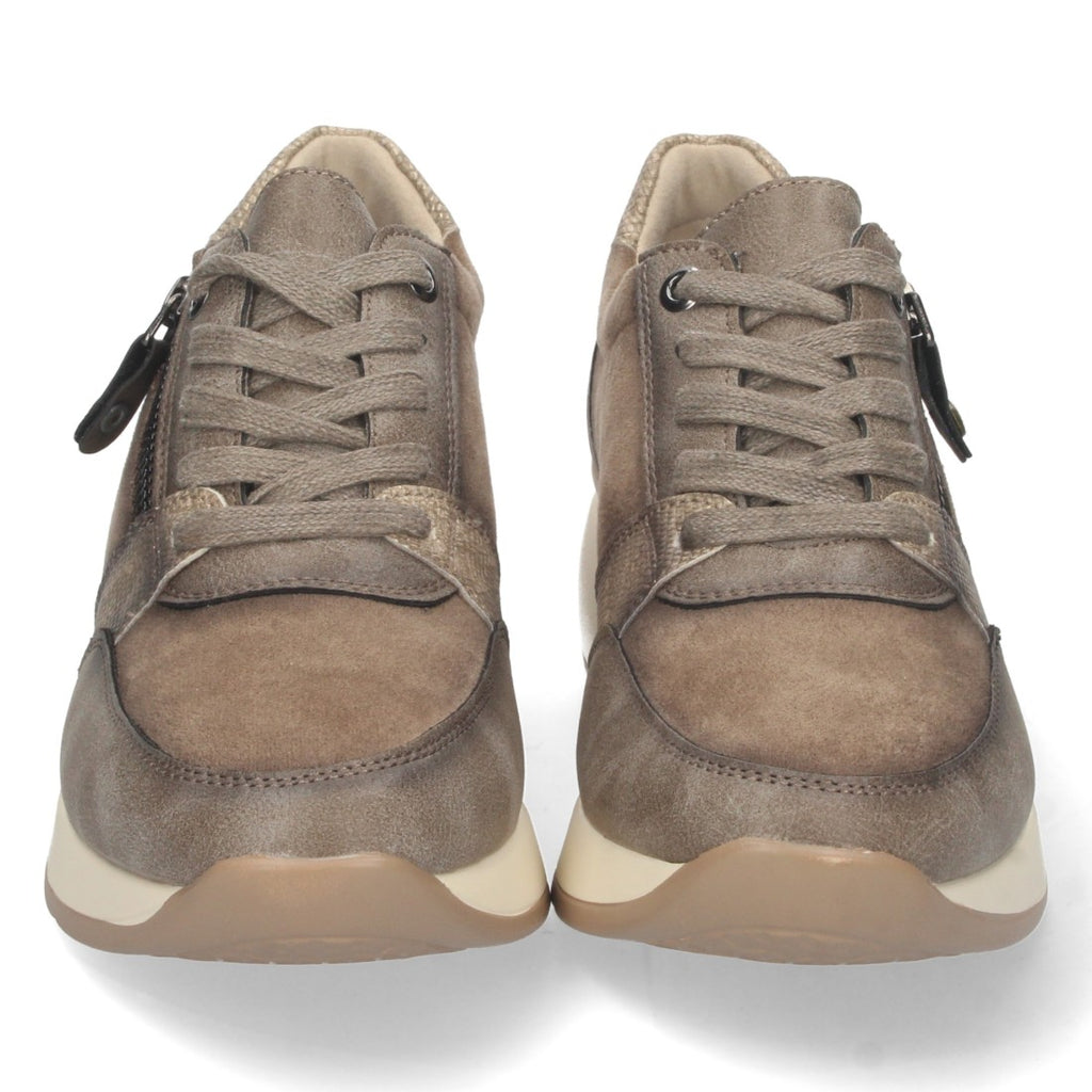L664-Talp