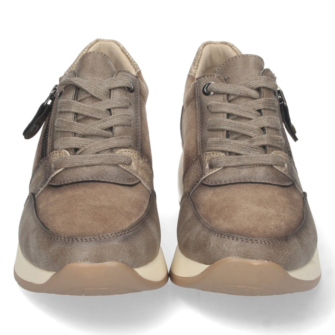 L664-Talp