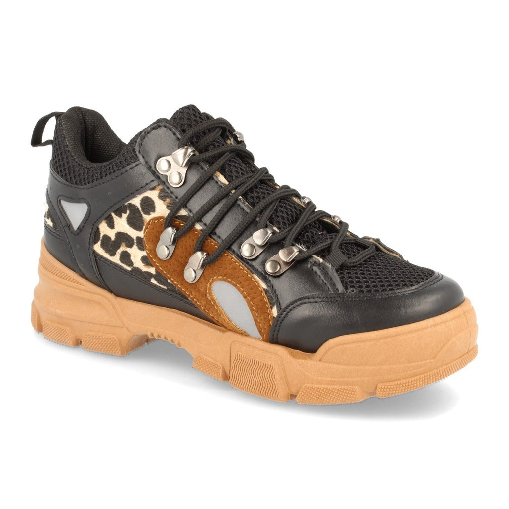 G06-Lleopard