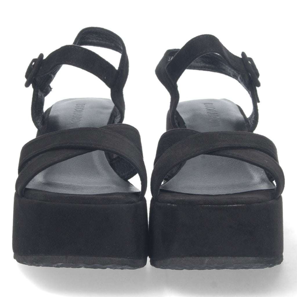 S-2229-Negre