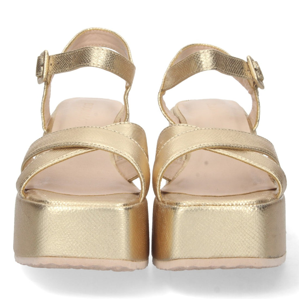 Vimice S-2229-Oro